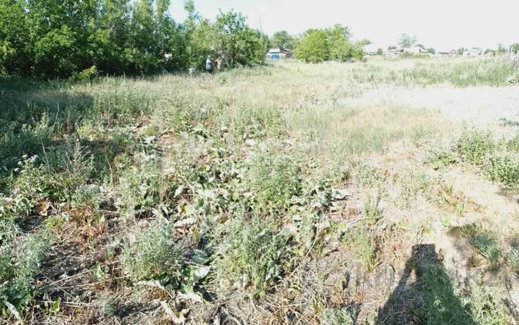 Участок · 18 соток, Казахстанская за 5 млн ₸ в Щучинске — фото 11