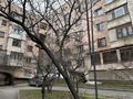 3-бөлмелі пәтер, 67 м², 3/5 қабат ай сайын, мкр Самал-2 43, бағасы: 450 000 〒 в Алматы, Медеуский р-н — фото 14