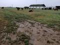 Участок · 700 га, ЖОЛАП ауылы грачи 1 за 150 млн ₸ в Чапаеве — фото 15