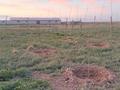 Участок · 700 га, ЖОЛАП ауылы грачи 1 за 150 млн ₸ в Чапаеве — фото 21