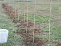 Участок · 700 га, ЖОЛАП ауылы грачи 1 за 150 млн ₸ в Чапаеве — фото 31
