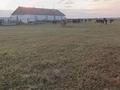 Участок · 700 га, ЖОЛАП ауылы грачи 1 за 150 млн ₸ в Чапаеве — фото 8