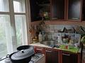 Отдельный дом · 3 комнаты · 62 м² · 583 сот., Сосновая 56 за 10 млн ₸ в Семее — фото 8