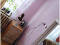 Отдельный дом · 4 комнаты · 70 м² · 10 сот., Агрономическая 35 за 60 000 ₸ в Усть-Каменогорске — фото 20