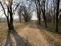 Жер телімі · 200 сотық, Долан, бағасы: 120 млн ₸ — фото 3