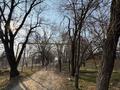 Жер телімі · 200 сотық, Долан, бағасы: 120 млн ₸ — фото 7