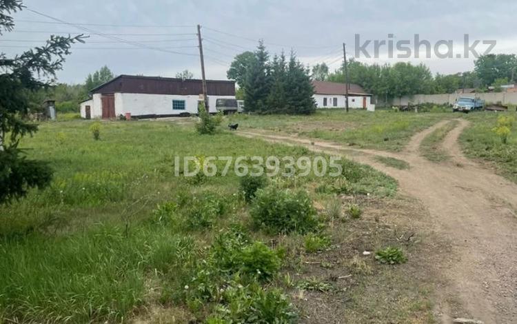 Сельское хозяйство · 60000 м² за 50 млн 〒 в Шемонаихе — фото 4
