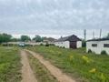 Сельское хозяйство · 60000 м² за 50 млн 〒 в Шемонаихе — фото 2