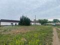 Сельское хозяйство · 60000 м² за 50 млн 〒 в Шемонаихе — фото 4