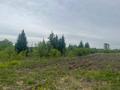Сельское хозяйство · 60000 м² за 50 млн 〒 в Шемонаихе — фото 5