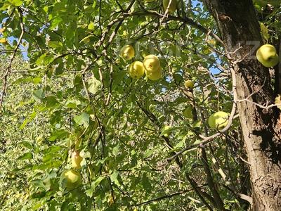 Дача · 2 комнаты · 30 м² · 7 сот., Солнечная за 14 млн 〒 в Каскелене