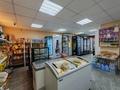 Свободное назначение, офисы, магазины и бутики, салоны красоты, медцентры и аптеки, образование, развлечения · 60.2 м² за 31 млн ₸ в Костанае — фото 5