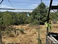 Участок · 12 соток, Вишневая 51 — Дача Турар за 2.7 млн ₸ в Турарских дач — фото 19
