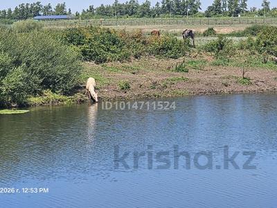 Жеке үй · 4 бөлме · 140 м² · 10 жүзд., Тастобе — 1 мкр, бағасы: 95 млн ₸ в Жибек Жолы