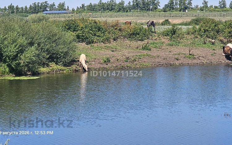 Жеке үй · 4 бөлме · 140 м² · 10 жүзд., Тастобе — 1 мкр, бағасы: 95 млн ₸ в Жибек Жолы — фото 2