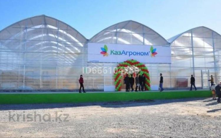 Сельское хозяйство • 30000 м² за 990 млн 〒 в Шымкенте, Каратауский р-н — фото 2