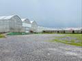 Сельское хозяйство • 30000 м² за 990 млн 〒 в Шымкенте, Каратауский р-н — фото 9
