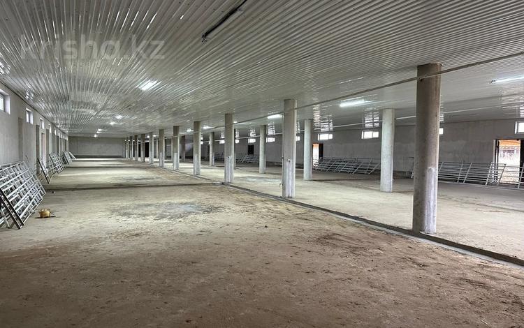 Офисы, склады · 4420 м² за ~ 6.6 млн ₸ в Ельтае — фото 2
