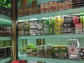 Магазины и бутики • 130 м² за 110 млн 〒 в Шымкенте, Енбекшинский р-н — фото 39