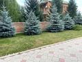 Жеке үй · 5 бөлме · 400 м² · 8 сот., Сатпаева 25/3, бағасы: 235 млн ₸ в Усть-Каменогорске — фото 30