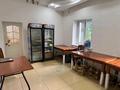 Действующий тойхана · 420 м², бағасы: 70 млн ₸ в Мичуринское — фото 11