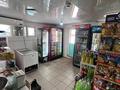 Жеке үй · 4 бөлме · 140 м² · 10 жүзд., Сейфуллина 88 — Аккожа би, бағасы: 65 млн ₸ в  — фото 13