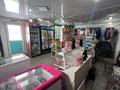 Жеке үй · 4 бөлме · 140 м² · 10 жүзд., Сейфуллина 88 — Аккожа би, бағасы: 65 млн ₸ в  — фото 14