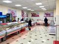 Магазины и бутики • 600 м² за 215 млн 〒 в Щучинске — фото 22