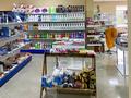 Магазины и бутики • 600 м² за 215 млн 〒 в Щучинске — фото 31