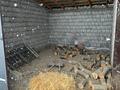 Сельское хозяйство · 2000 м² за 200 млн ₸ в Коксаеке — фото 18