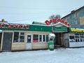 Свободное назначение, офисы, магазины и бутики, образование · 145 м² за 145 млн ₸ в Талдыкоргане — фото 11
