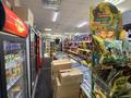 Магазины и бутики · 127.4 м² за 80 млн ₸ в Астане, Алматы р-н — фото 9