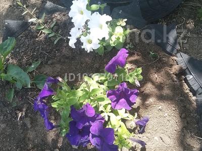 Саяжай · 3 бөлме · 32 м² · 6 жүзд., Сортировка 25, бағасы: 2 млн ₸ в Караганде, Алихана Бокейханова р-н