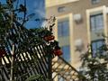 4-комнатная квартира · 167.9 м² · 4/7 этаж, мкр. Алтын орда за ~ 77.2 млн ₸ в Актобе — фото 7