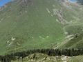 Дача · 4 комнаты · 1000 м² · 200 сот., Шокая — Восточная объездная дорога за 200 000 ₸ в Алматы, Медеуский р-н — фото 8