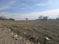 Участок · 11 соток, Кумтоган (Мирное) за 11.6 млн ₸ — фото 2