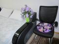 1-комнатная квартира · 33 м² · 2/5 этаж, Толе Би 178 — Жарокова за 9 000 ₸ в Алматы, Алмалинский р-н
