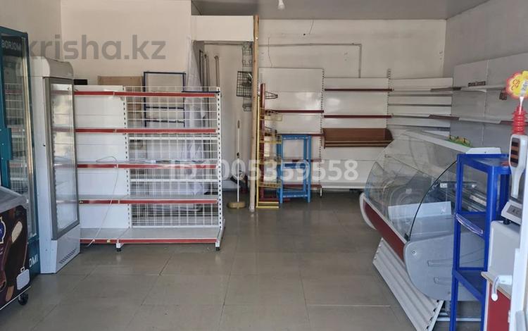 Еркін · 40 м², бағасы: 150 000 ₸ в Астане, Сарыарка р-н — фото 2