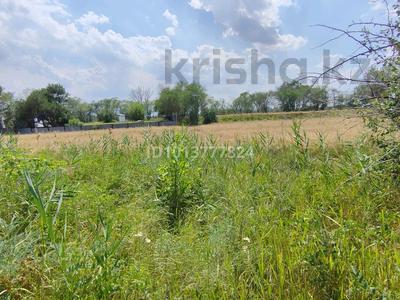 Участок · 1 га, Туздыбастау (Калинино) за 88 млн ₸