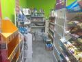 Действующий продуктовый магазин, 155 м², бағасы: 11.3 млн 〒 в Астане, Нура р-н — фото 10
