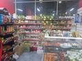 Действующий продуктовый магазин, 155 м², бағасы: 11.3 млн 〒 в Астане, Нура р-н — фото 8