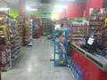 Действующий продуктовый магазин, 155 м² за 11.3 млн 〒 в Астане, Нура р-н — фото 9
