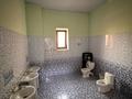 Отдельный дом · 8 комнат · 476 м² · 10 сот., Танбалы тас 29 за 135 млн ₸ в Узынагаш — фото 13