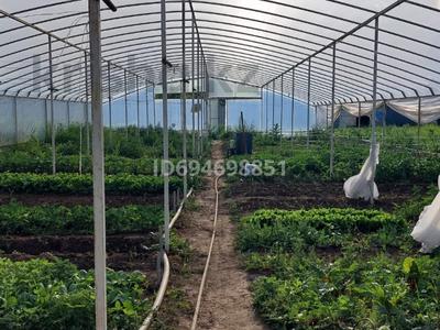 Готовый бизнес по выращиванию элитной зелени, 1085 м², бағасы: 130 млн 〒 в Бельбулаке (Мичурино)