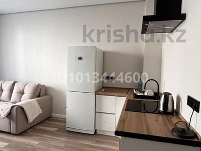 2-бөлмелі пәтер · 45 м², мкр Нуршашкан (Колхозши), Алатау, бағасы: 300 000 ₸ в Алматы, Турксибский р-н