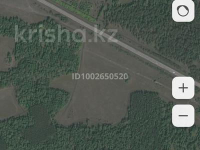 Участок · 1 га, Щучинск за 90 млн 〒