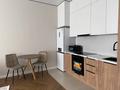 2-бөлмелі пәтер · 40 м² · 2/9 қабат, Нұркент ш/а, Турара Рыскулова, бағасы: 300 000 ₸ в Алматы, Алатауский р-н — фото 2