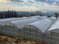 Высокотехнологичный автоматизированный тепличный комплекс · 60000 м², бағасы: 550 млн 〒 в Шымкенте, Каратауский р-н