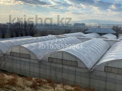 Высокотехнологичный автоматизированный тепличный комплекс · 60000 м², бағасы: 550 млн 〒 в Шымкенте, Каратауский р-н