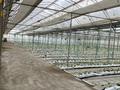 Высокотехнологичный автоматизированный тепличный комплекс · 60000 м², бағасы: 550 млн 〒 в Шымкенте, Каратауский р-н — фото 5